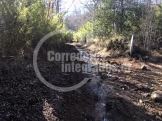 Imagen 3 de 14 de Sitio Forestal En Venta En Curacautín