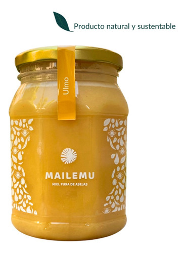Miel Pura De Ulmo Mailemu 1kg