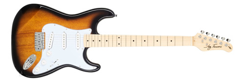 Guitarra Eléctrica Stratocaster Jay Turser Jt-300- Maple