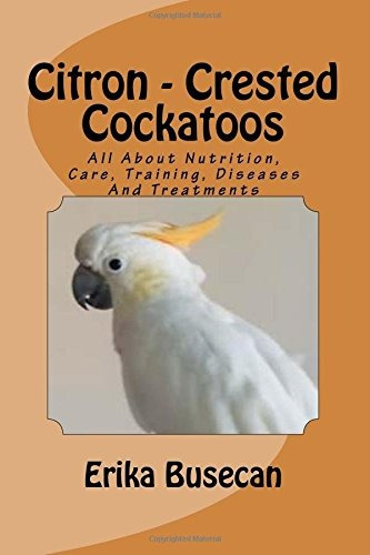 Citron  Crested Cockatoos All About Nutrition, Care, Trainin