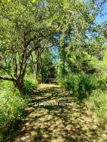 En Venta Espectacular Lote Arbolado De 4000 M2 | Villa De Las Rosas | Escritura Y Servicios
