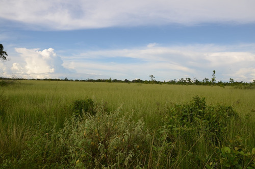 Imagen 11 de 28 de Se Vende Linda Finca En Oritupano
