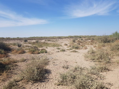 Terreno En Venta En San Miguel, Matamoros