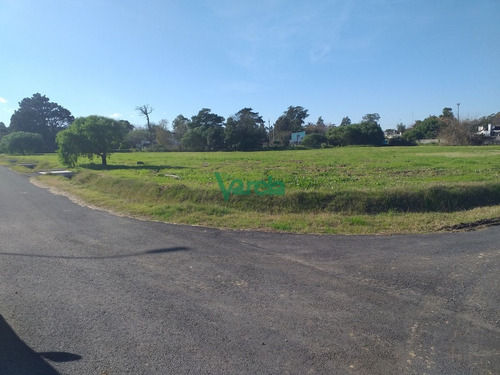 Imagen 4 de 8 de Venta De Terrenos En Lagomar Nuevo Barrio ,