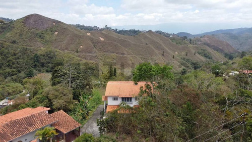 Terreno De 15 Has En El Amarillo San Antonio De Los Altos