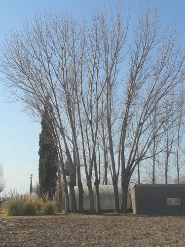 Imagen 2 de 6 de 29.9 Has En Colonia Las Rosas
