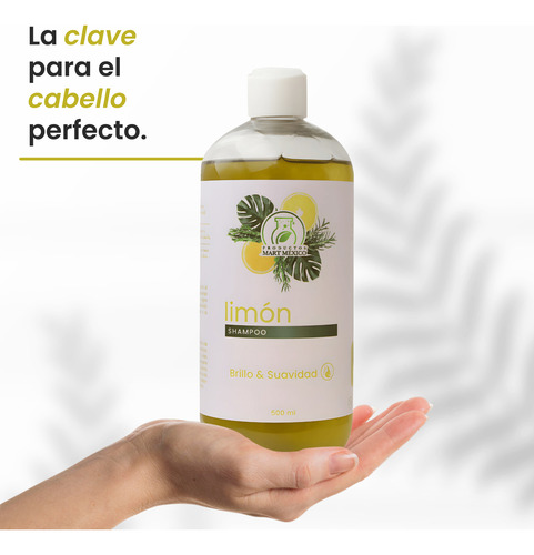 Shampoo De Limón Capilar 500 Ml