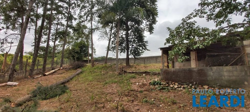 Imagem 7 de 13 de Chacara - Jardim Currupira - Sp - 638125