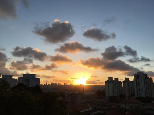 Imagem 4 de 15 de Apartamento Com 2 Quartos À Venda No Residencial Algarve. - 850