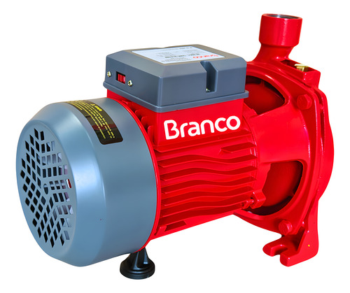 Bomba D'agua Centrifuga Branco 1,0cv Bivolt Rotor Em Latão