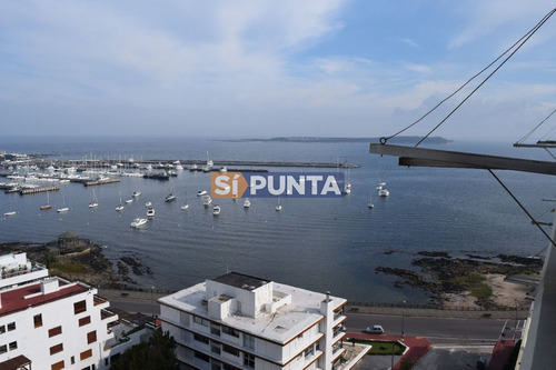 Imagen 5 de 30 de Peninsula