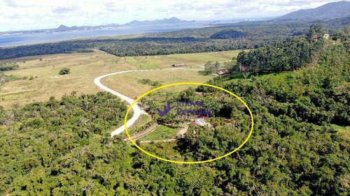 Imagem 6 de 10 de Chácara Com 2 Dormitórios À Venda, 259380000 M² Por R$ 870.000,00 - Área Rural - Itapoá/sc - Ch0002