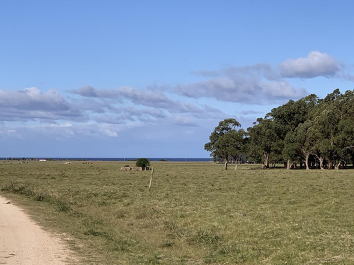 Terreno - José Ignacio