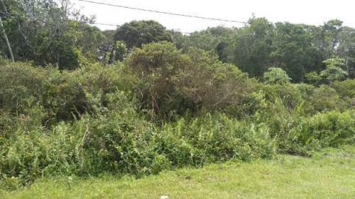 Imagem 1 de 5 de Terreno No Bairro Santa Cruz Em Itanhaém - 6449
