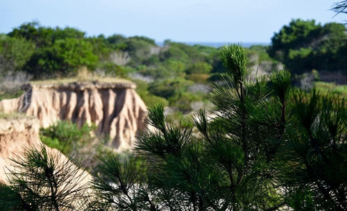 Imagen 4 de 4 de Excelente Lote De 332,64 M2 En El Balneario Punta Rubia, Rocha, Uruguay.