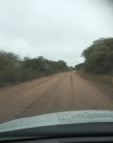 Imagen 4 de 5 de Campo - Dean Funes
