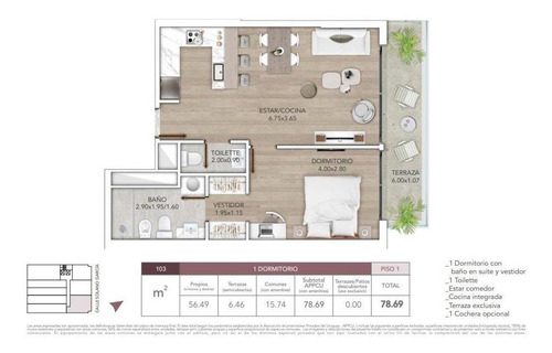 Imagen 8 de 27 de Apartamento 1 Dormitorio, Suite, Vestidor, Toilette, Terraza Al Frente.