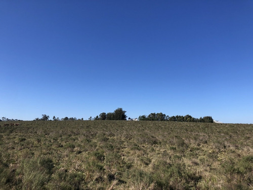 Venta Chacra En Medellin Chico (camino Que Une Al Ruta 104 Con La Boya Petrolera- Ref: 5505