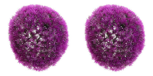 Planta De De De Topiario De Eucalitto Violeta 27cm