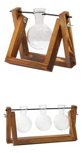 Jarrón Hidropónico De Vidrio Transparente Para Terrario,