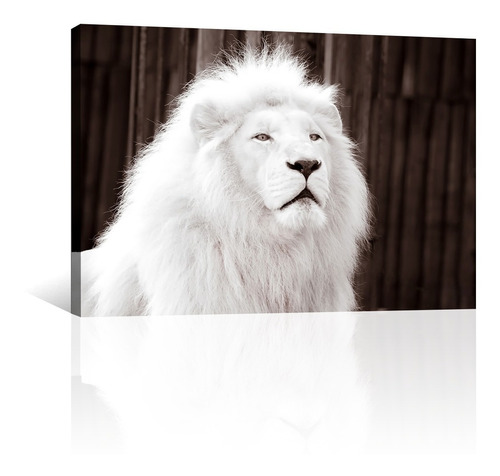 Cuadro Decorativo Animales Canvas Lienzo Leon Blanco