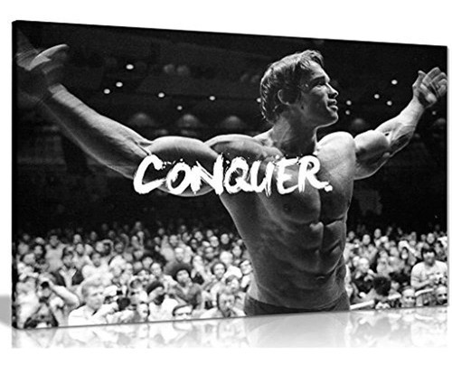 Motivacion Inspiradora Arnold Schwarzenegger Conquistar Imp