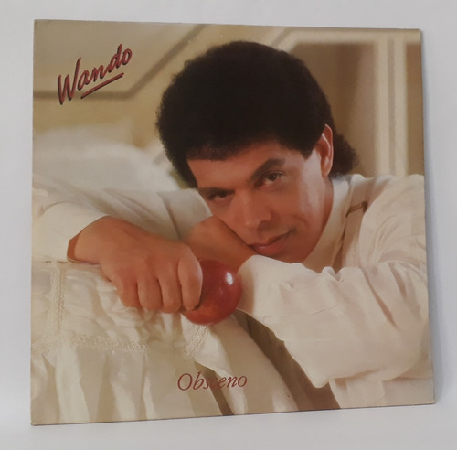 Wando 13 Discos Vinil Lp Romântica Brega Coleção Mpb Raros