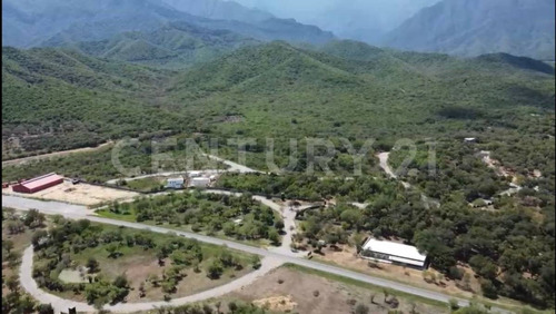 Terreno Campestre En Venta En Montemorelos Nuevo León