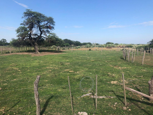 Campo En Santiago Del Estero Apto Para Explotación Ganadera (2200 Ha)
