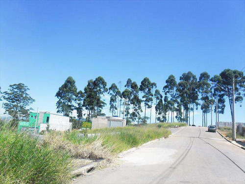 Imagem 11 de 12 de Terreno, Nova Carmela, Guarulhos, Cod: 225 - V225