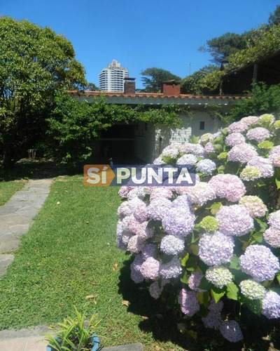 Imagen 18 de 19 de Casa En San Rafael