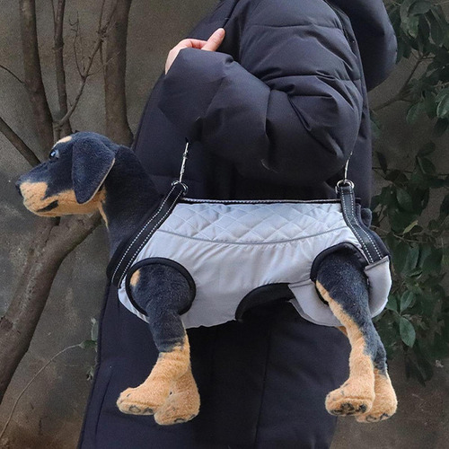 Arnês De Elevação Para Cães, Correia De L Cinza