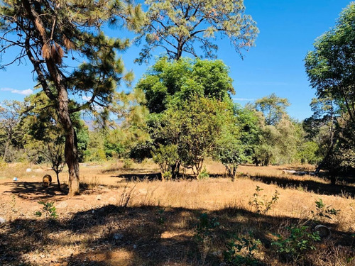 Imagen 5 de 5 de Terreno En Venta
