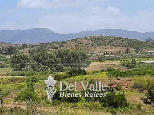 Imagen 5 de 9 de 1 A 5 Hectáreas En Valle De Guadalupe A Espaldas De Casa Fri