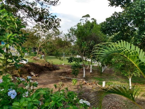 Imagem 13 de 20 de Linda Propriedade Em Litoral Sul; Peruíbe/sp - 406 - 69244464
