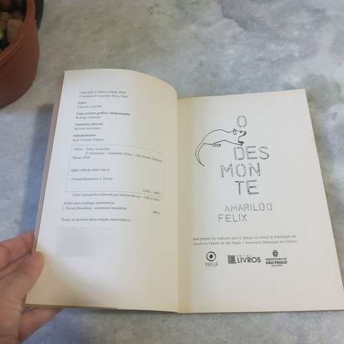 Livro: O Desmonte - Amarildo Felix (Usado)