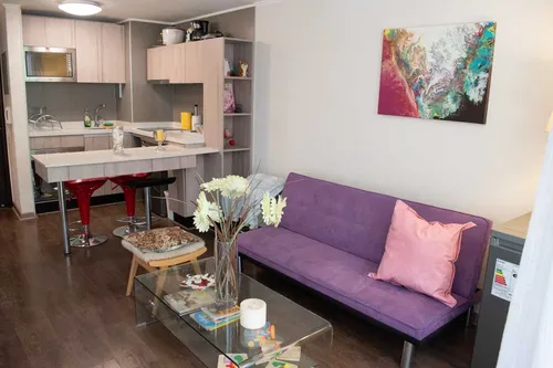 Arriendo Depto Amoblado 1 Habitación - Santiago (4238)