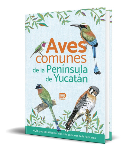 Libro Aves Comunes De La Península De Yucatán [ Guia ]