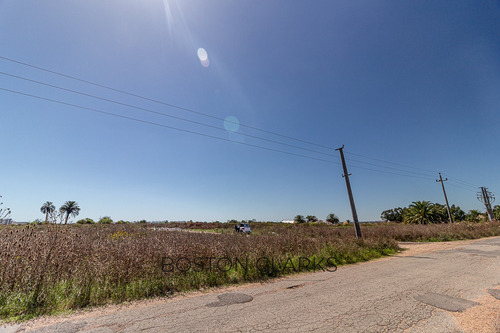 Terreno En Venta En Camino Buffa