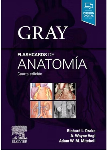 Flashcards De Anatomia De Gray