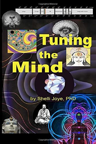 Libro: Tuning The Mind: Geometries Of Consciousness Brain
