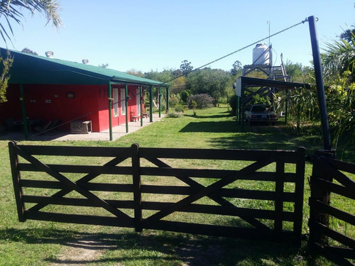 Imagen 2 de 11 de Campo - Colonia Hughes