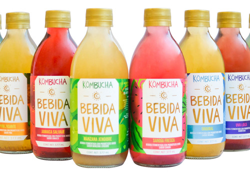 Kombucha Bebida Viva /bebida Probiótica 24-pack (377 Ml C/u)