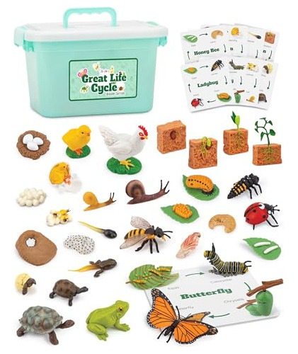 Life Cycle Sets Figurine Toys, Kids Animal Match Set With Fr