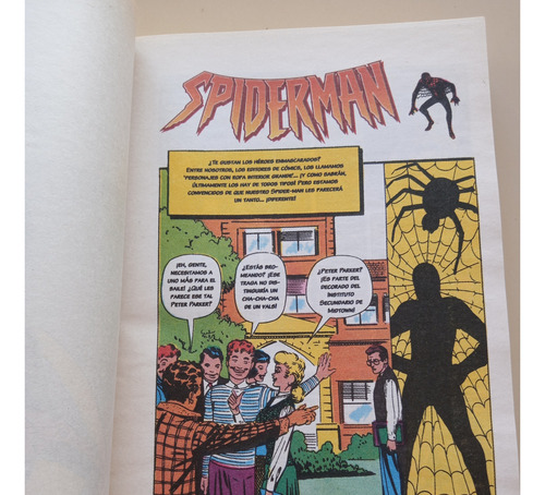 El Hombre Araña. Clarín De La Historieta. Caballito.