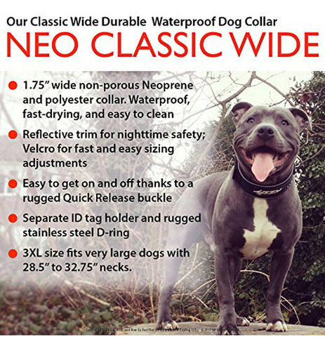 Collar Ancho Para Perro Ezydog Neo Classic