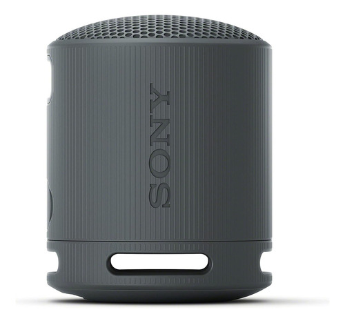 Altavoz Bluetooth Sony SRS-XB100, color negro, 110 V/220 V