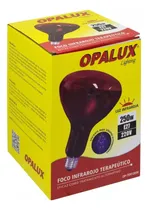 Comprar Foco Infrarrojo Para Terapia Calentador Comida Crias Veterin