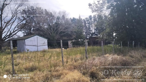 Imagen 15 de 29 de Chacra De 29 Has En Venta En Baradero - Ideal Fin De Semana Y Producción Agrícola