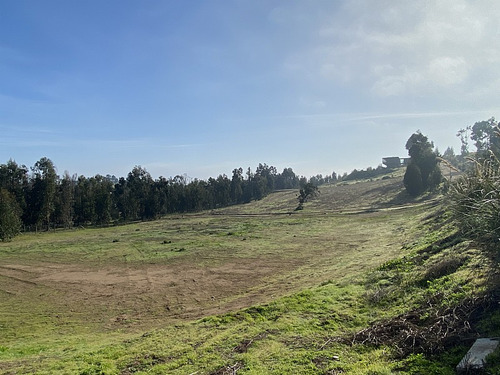 Condominio Campo Viejo, Maitencillo
